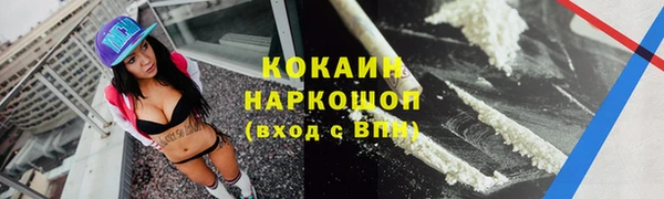 прущие грибы Надым