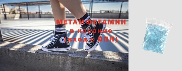 прущие грибы Надым