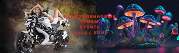 сатива Бутурлиновка