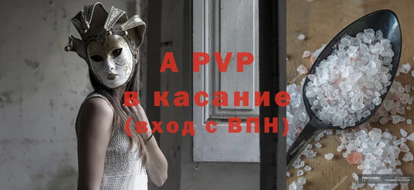 прущие грибы Надым