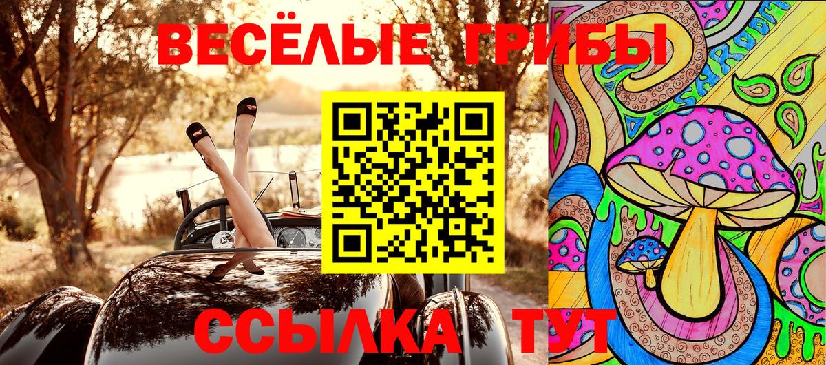 Псилоцибиновые грибы ЛСД  Вход с VPN  Новоалександровск 
