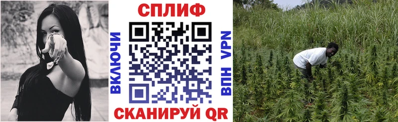 блэк спрут как войти  купить  сайты  Новоалександровск  Каннабис гибрид 